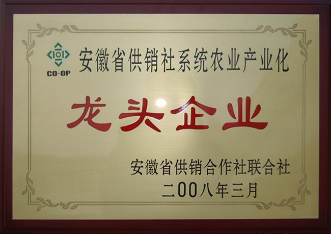 龙头企业